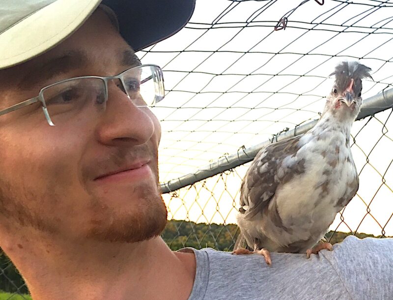 Chicken challenges