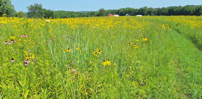 Potluck on the Prairie 2025