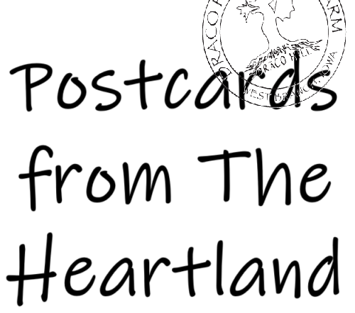 Give the gift of climate-friendly farming