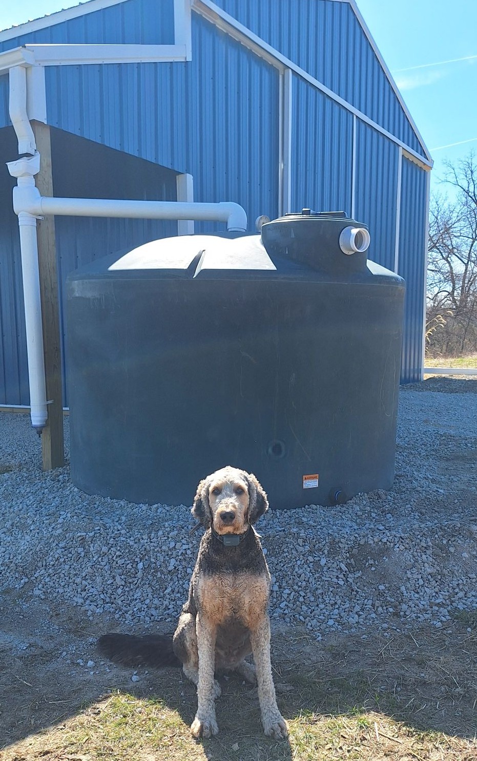 Rainwater recapture system in place